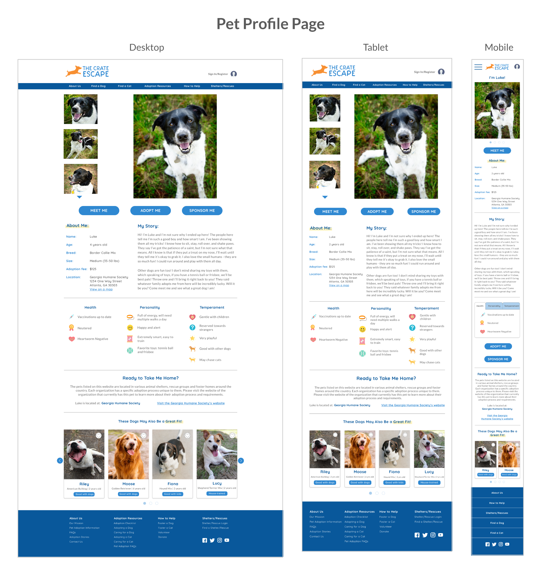 Pet-Profile-Page-UI